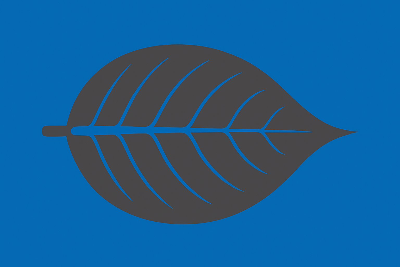 Developing International Agricultural Communications: A Photo Elicitation of International Agricultural Development Implementors